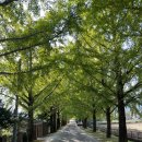 의동마을 이미지