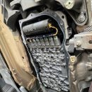 블루디젤모터스 이미지