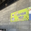 예나유치원 | 곤충체험 와일드벅스 곤충탐험대 방문 후기