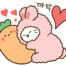 노아헬시푸드