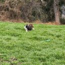 목동농장 이미지