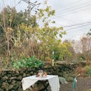 스테이모먼트 이미지