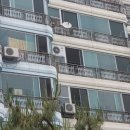 신안동15 이미지