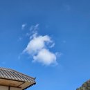 오대산 반찬 | 평창 오대산맛집 산채비빔밥이 맛있는 오대산가마솥식당