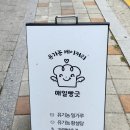 매일빵긋 이미지