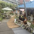 호박 샤브샤브 칼국수 이미지