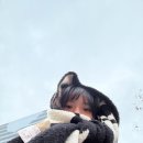 2066 | 올 겨울 나를 지켜준 방한용품 | 마뗑킴, 앵브록스, 테무 목도리 추천 🧣