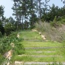 증도소금박물관 이미지