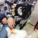 애니몰하우스