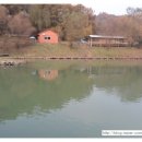 [출조후기] [송어] 2010. 11. 7 산우물낚시터(신곡지)
