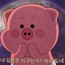 동광로19길 16 이미지