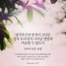 ➕ 골로새서 1:21 – 1:29 복음의 비밀로 모든 사람을 온전히 세우는 사명 이미지