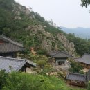 용문사 토불 이미지