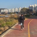 정림일식 이미지