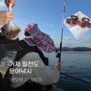 나눔레저 | 칠천도 선외기 문어낚시 람보르기니레저 내돈내산 후기