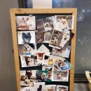 카페소확행