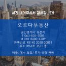 배산부동산공인중개사사무소 이미지