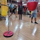 평촌 권투체육관 이미지