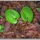 횡성휴게소(상) 이미지