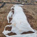 황금슈퍼 이미지