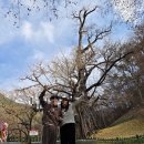 금산로타리 | 11월의 금산