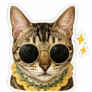 명동 | [명동 안경점] 옵틱라이프 명동점 후기 👓✨