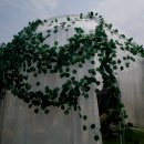 서울국제정원박람회-보라매공원에서. 이미지