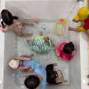 조이풀수영장 | [익산] 조이풀 키즈카페 아기 모임 장소 온수 수영장 다녀온 후기