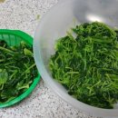 중부야채