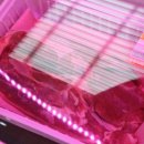 번창마트 이미지