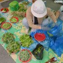 양촌농산물장터