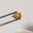 하나수산 네이버블로그