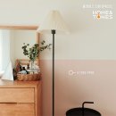 홈앤톤즈 이미지