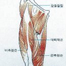 등산시 &#34;근육의 파괴&#34; 횡문근융해증을 유의해야 한다. 이미지