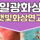 일광참기름 네이버블로그