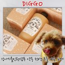 뚱강아지 | 강아지 목욕 힐링 디고 펫 에스테틱 샴푸 사용 후기 강아지 샴푸 추천