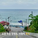 동해 묵호 여행 코스 총정리! 카페부터 오션뷰 스팟까지
