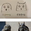 부엉이PC방 이미지