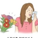 알레르기 종류 반응 증상 꽃가루 알레르기 먼지 알러지 MAST 검사 치료 이미지