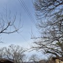 잎새 | [울산 언양 맛집] 부모님모시고 가기좋은 '가랑잎새' 연잎정식 내돈내산 후기