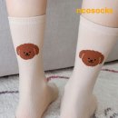 퍼피트렌드 이미지