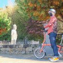 부적면사무소 이미지