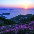 대금산진달래길(트레킹) 이미지