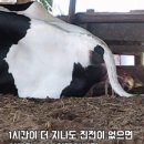 소번식경영아카데미 이미지