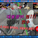 20241121 파주 삼방낚시터 오전 낚시 대물향어 팅!!! 후 왕메기, 오후 월척붕어 오전/오후 낚시 입질 좋아요. 대물터/잡이터 이미지