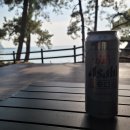 토토큰바위 야영장 | 전남 염포 야영장 (2026. 03. 23. ~ 25.)