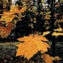 매일한의원 이미지