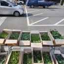 진주팜농약 이미지