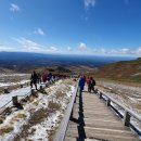 금강대학교 이미지