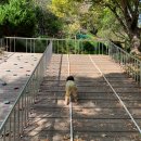 황령산레포츠공원(생태공원) 이미지